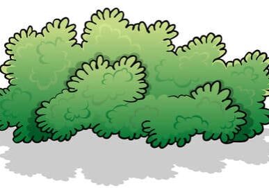 186559104-green-wide-shrub-colored-cartoon-illustration-isolated-on-white-background-vector 186559104-green-wide-shrub-colored-cartoon-illustration-isolated-on-white-background-vector